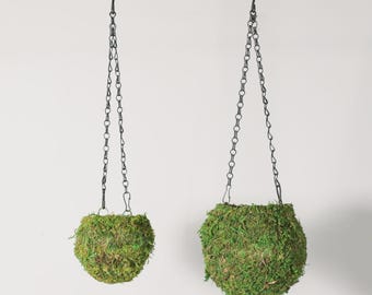 Fresh Green Kokedama Moss Hanging Planter Ball