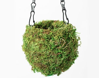 Fresh Green Kokedama Moss Hanging Planter Ball
