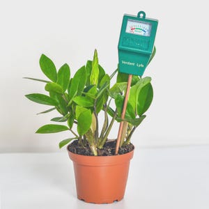 May include: A potted ZZ plant with vibrant green leaves and a soil moisture meter. The meter, labeled "Verdant Lyfe," is green with a gauge indicating moisture levels. The plant is in a brown plastic pot, set against a white background.