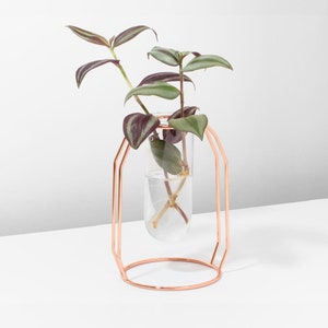 May include: A copper wire geometric stand with a clear glass test tube vase holding a small plant with green and purple leaves.