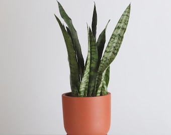 large fake potted plant Large Faux Tree for Indoor Decor main image 1