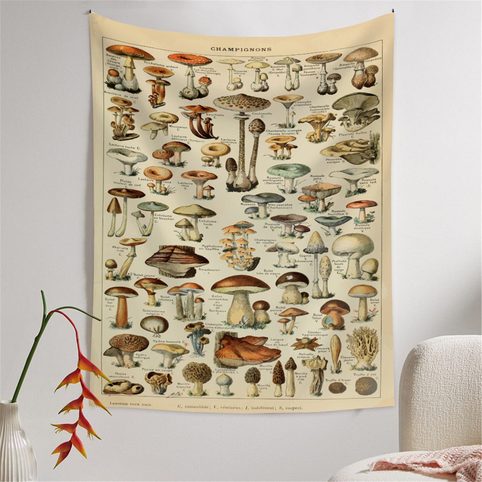 Mushroom Reference Chart Tapestry Vintage Fungus Tapestry Etsy