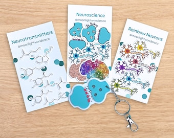 May include: Three white display cards featuring science-themed stickers and a blue synapse keychain. The cards are labeled Neurotransmitters, Neuroscience, and Rainbow Neurons with the handle @moonlightwondersco. The stickers depict chemical structures, brain illustrations, and colorful neurons.