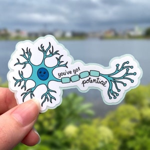 May include: A sticker featuring a cartoon neuron with a light blue and teal design. The neuron has a smiling face and the words "you've got potential" written in black script. The sticker is held up by a person's fingers.