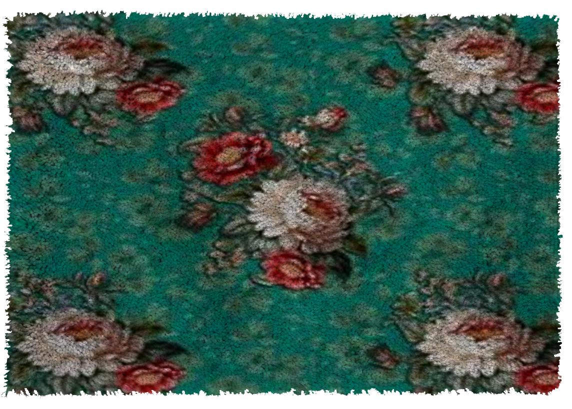 Gzaebji Klink haak kits voor volwassenen, voorbedrukt canvas doe-het-zelf tapijt maken kit haak garen kits voor beginners 55 x 75 cm grote grendel haak kits voor volwassenen grendel haak tapijt kits