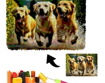 Kit per tappeti con uncinetto personalizzati con foto, ricamo fai da te, uncinetto, lavori ad ago per adulti e bambini principianti