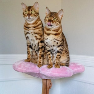 Modernt blommigt klösträd, katttorn i trä, modernt katthus, kattmöbler, kattpresent, klätterträd för katter, blommigt klösträd, storlek XL bild 3
