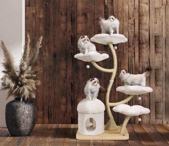 Cat Condo - Download