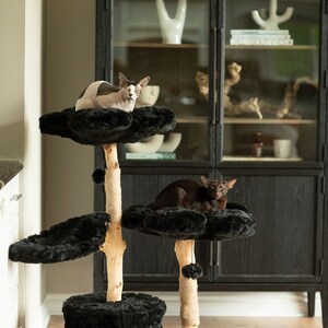May include: A multi-level cat tree with black faux fur platforms and a natural wood frame. Two Sphynx cats are resting on the platforms. The cat tree has a base with a cat-sized opening and a sisal-wrapped post.