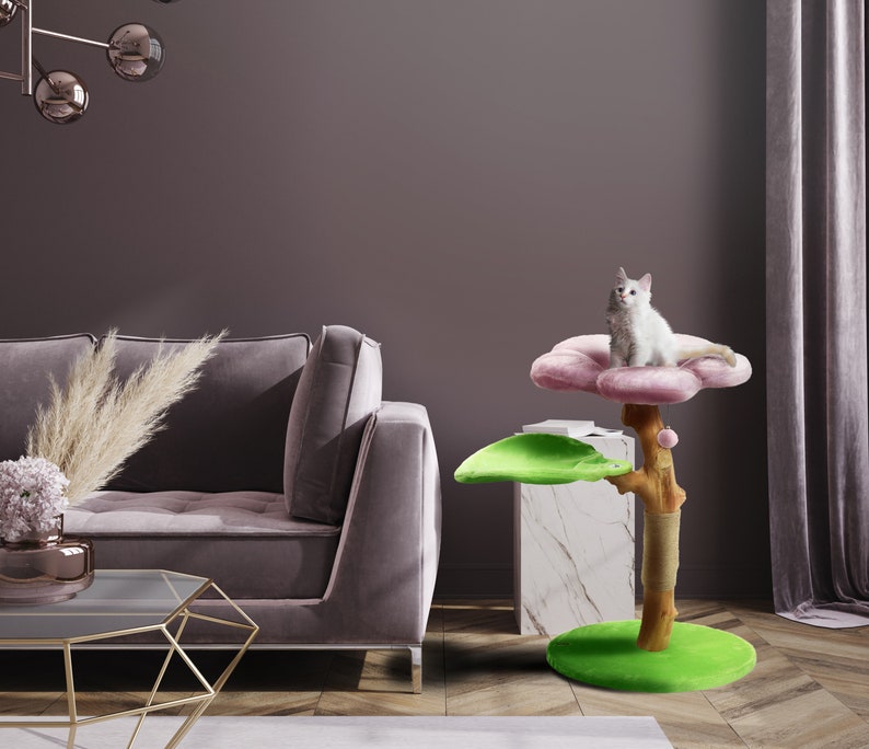 May include: A pink and green cat tree with a flower-shaped platform and a leaf-shaped platform. A white cat is sitting on the flower-shaped platform.