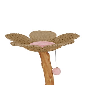 May include: A cat tree shaped like a flower with a pink cushion and a dangling pink toy. The base of the tree is a natural wood log.