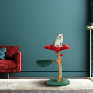 Może przedstawiać: Drzewko dla kota w kolorze czerwonym i zielonym z czerwoną platformą i zieloną podstawą. Biały kot siedzi na czerwonej platformie. Drzewko dla kota stoi przed turkusową ścianą.