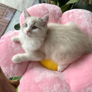 Modernt blommigt klösträd, katttorn i trä, modernt katthus, kattmöbler, kattpresent, klätterträd för katter, blommigt klösträd, storlek XL bild 5