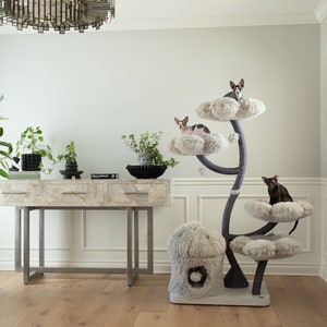 Large cat climbing clearance tree