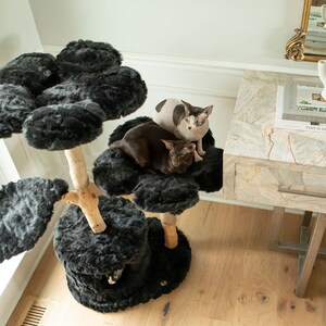 May include: A black cat tree with multiple platforms and a central scratching post. Two cats are resting on the top platforms. The tree has a faux fur texture and a natural wood-colored base.