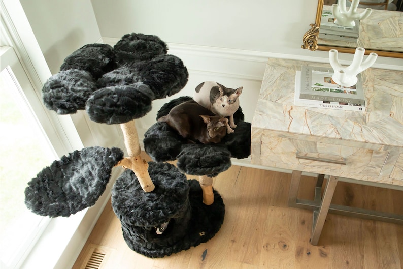 May include: A black cat tree with multiple platforms and a central scratching post. Two cats are resting on the top platforms. The tree has a faux fur texture and a natural wood-colored base.
