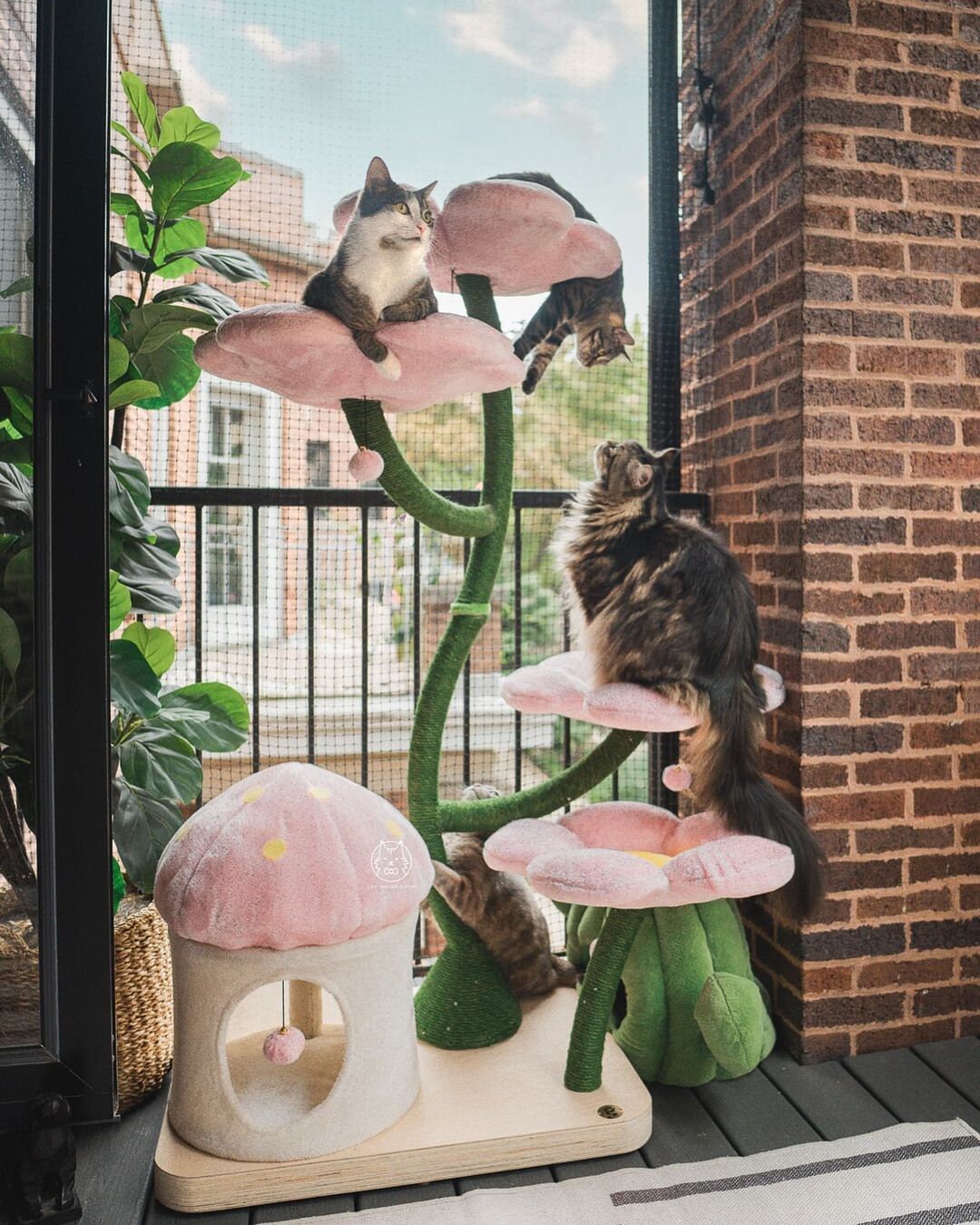Scorched wood cat clearance tree
