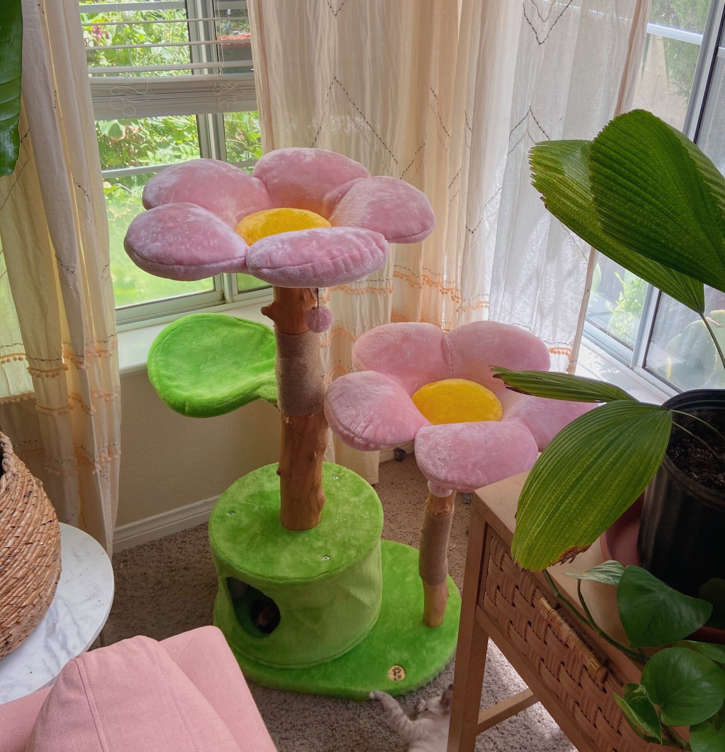 cat tree and house