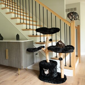 May include: A multi-level cat tree with black plush platforms and a hideaway. The tree has a natural wood trunk and is placed near a staircase with black iron balusters. Two cats are playing on the tree and staircase.