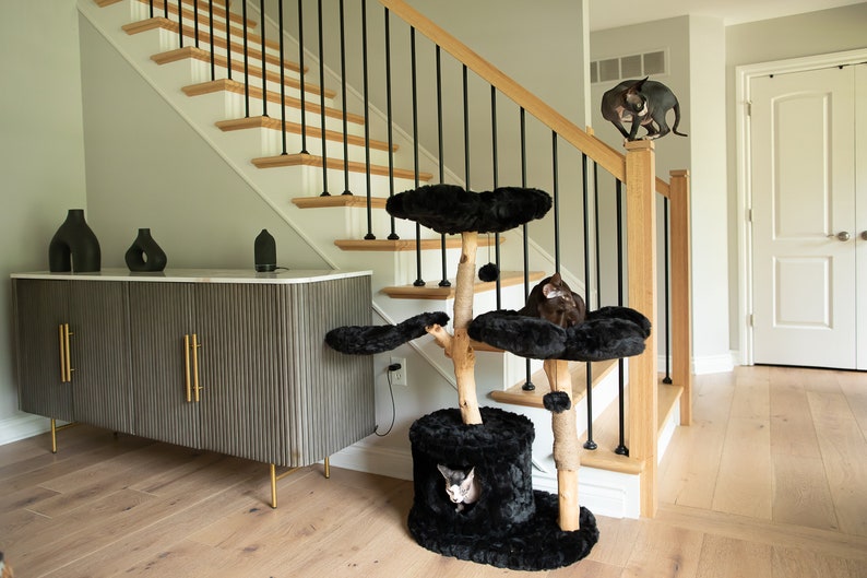 May include: A multi-level cat tree with black plush platforms and a hideaway. The tree has a natural wood trunk and is placed near a staircase with black iron balusters. Two cats are playing on the tree and staircase.