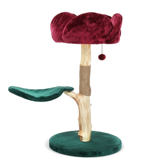Chewy luxury cat tree online