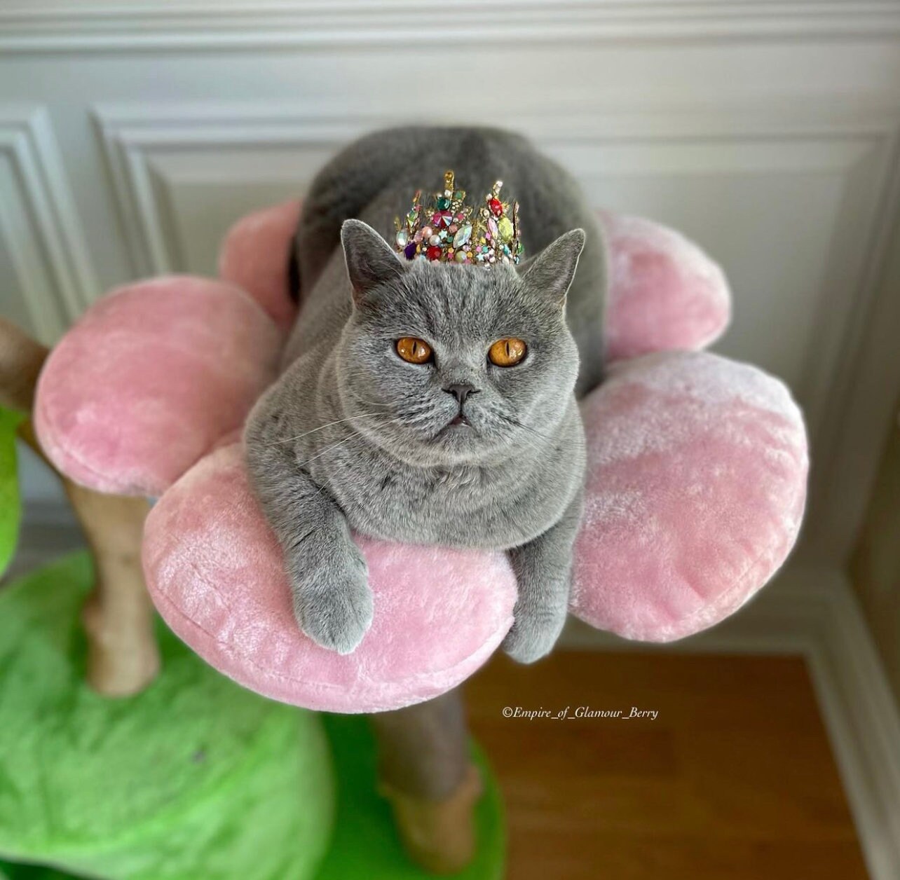 Wood Floral Cat Tree Tower Wooden Cat Tower Modern Cat Tree Etsy UK