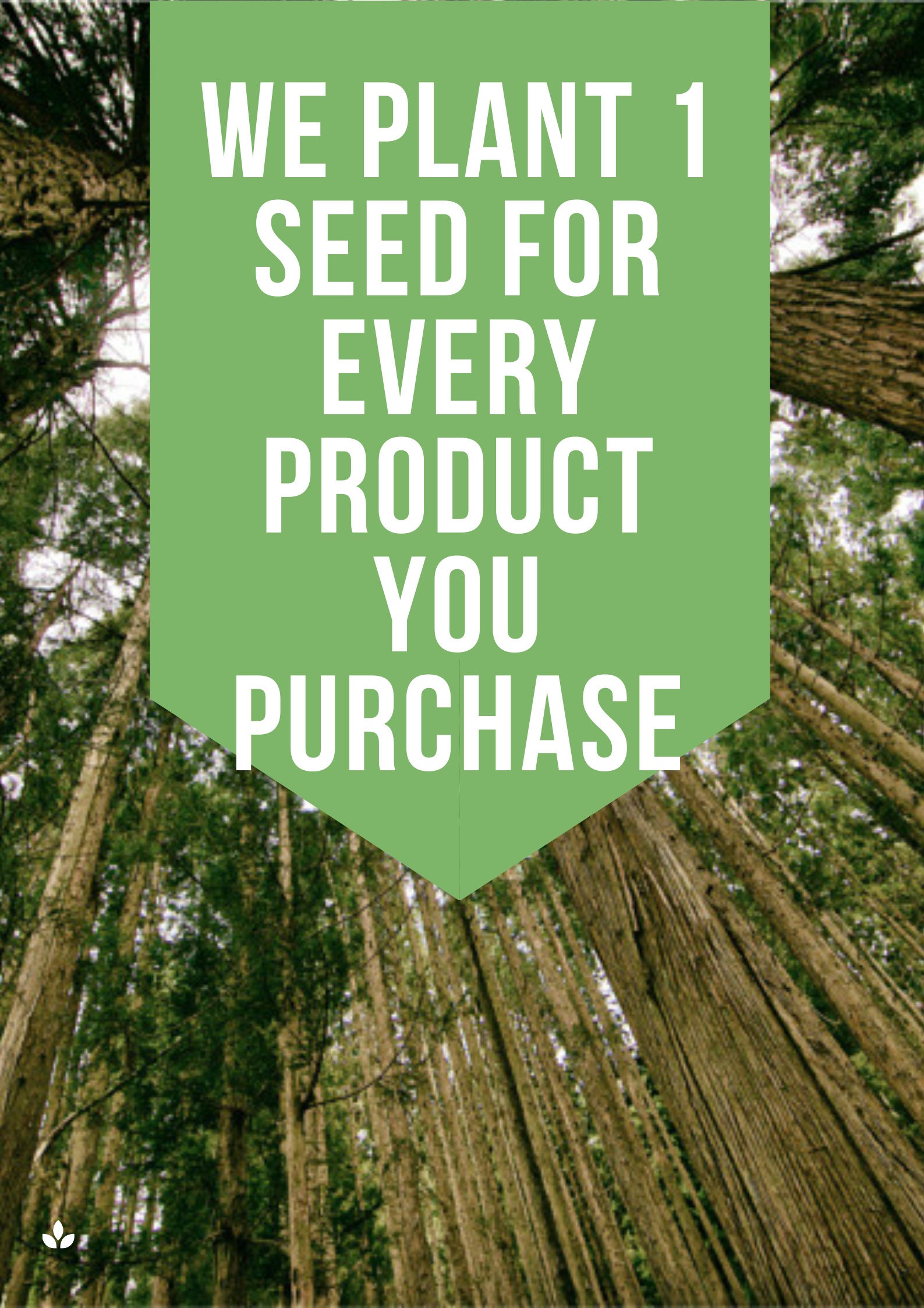 Ottoman Style Locking Hope Chest Large Wood Chest With Key Etsy