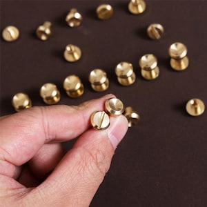 May include: A collection of small, brass-colored screws with slotted heads. The screws are scattered on a brown surface, with a few held in a hand. The screws have a flat, round head and a threaded body, suitable for various craft and hardware projects.