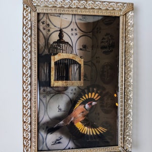 Antique refined picture frame - Victorian pictureframe - vintage English picture frame 1900 - 1920