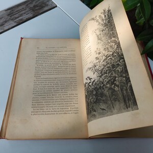 May include: An open antique book with aged, yellowed pages and red binding. The right page features a detailed black and white illustration of a forest scene. The book is resting on a white surface, with green foliage visible in the background.