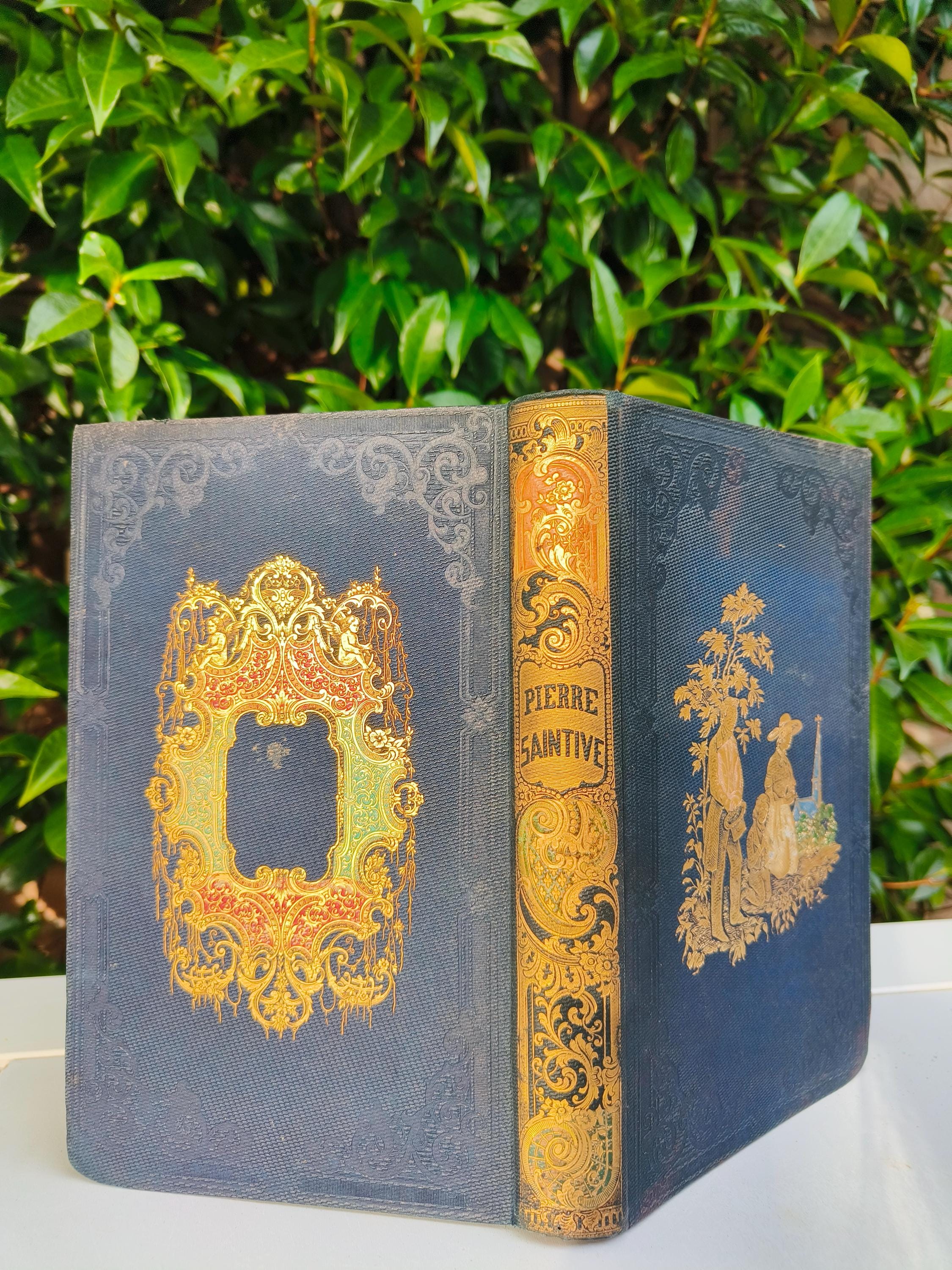 Antique 1852 French Book “pierre Saintive” – Louis Veuillot – Mame