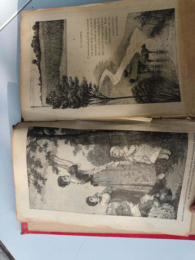 May include: An open antique book with illustrations. One page shows a landscape with a tree and figures near water. The opposite page has a field and text in French. The book's pages are aged and the binding is red.