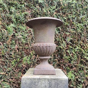 Op de afbeelding: Een roestige bruine gietijzeren tuinurn met een gegroefde basis staat op een vierkant stenen voetstuk. De urn staat voor een groene haag.