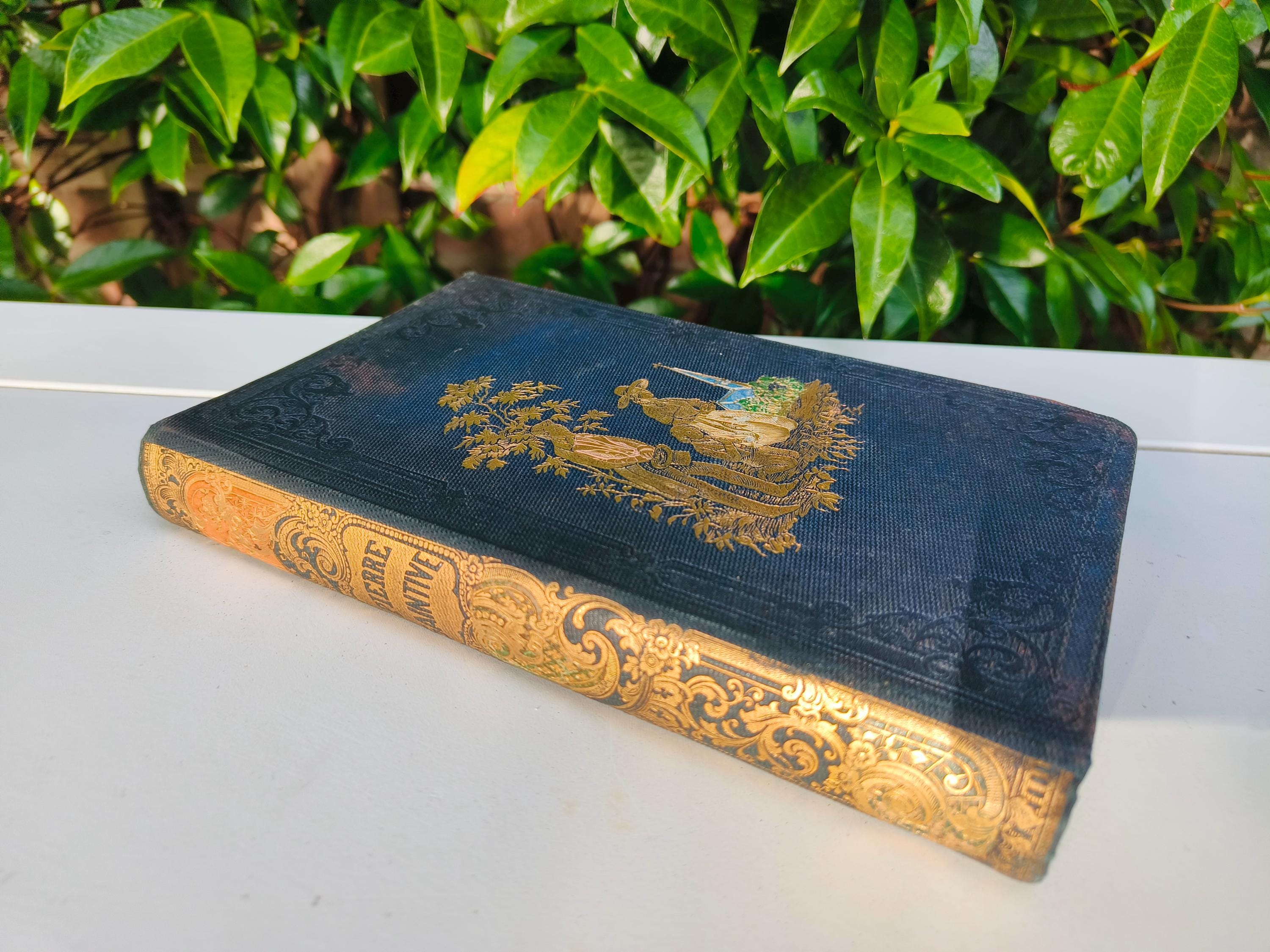 Antique 1852 French Book “pierre Saintive” – Louis Veuillot – Mame