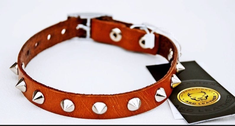 Puppy Collar Dog Collar for Small Dogs Custom Dog Collar Leather Studded Dog Collars Girl and Boy dog collars Brown /& Black