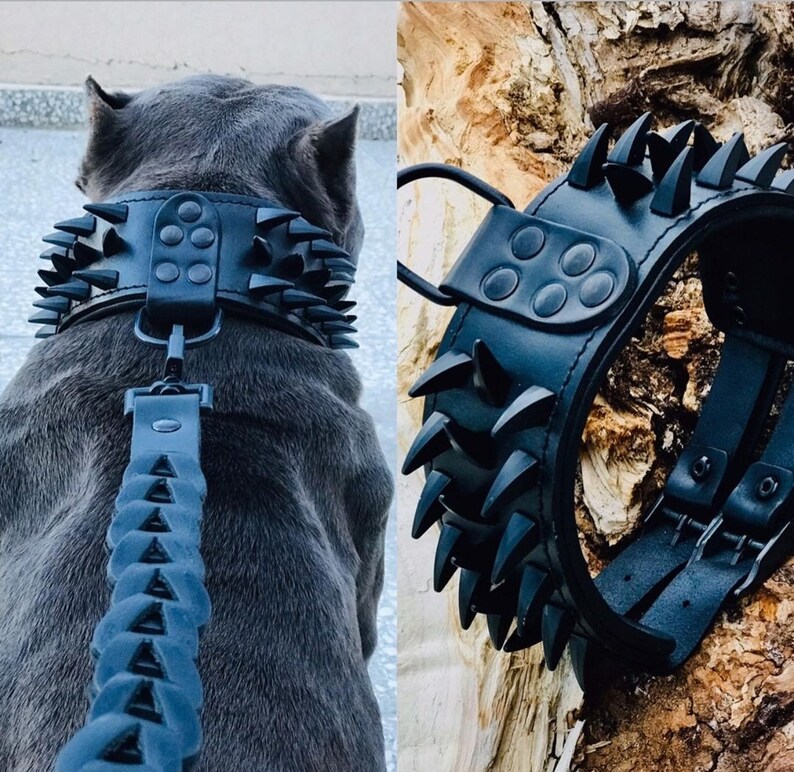 Black Leather Studded Dog Collar and Leash with Spikes for Etsy