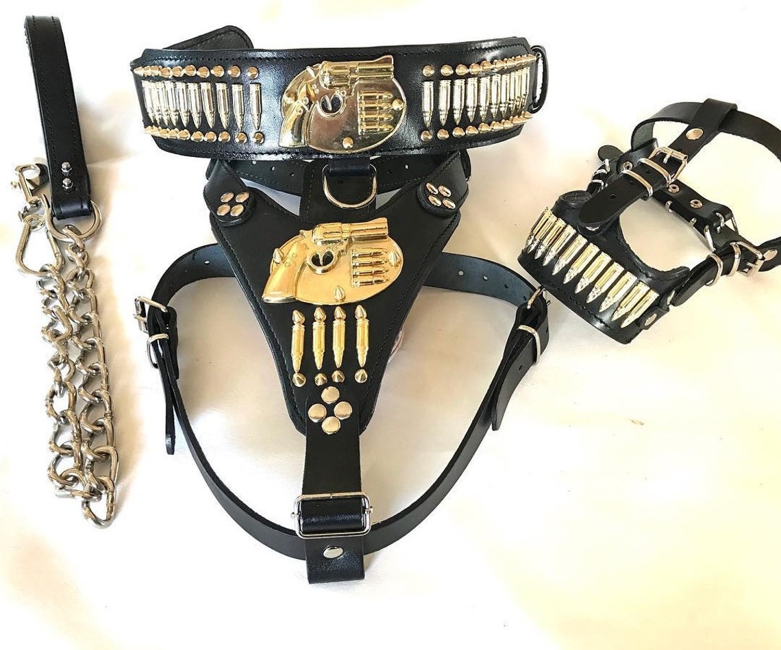Dog Collars Harnesses and Leashes & Muzzle Set Leather Dog Etsy