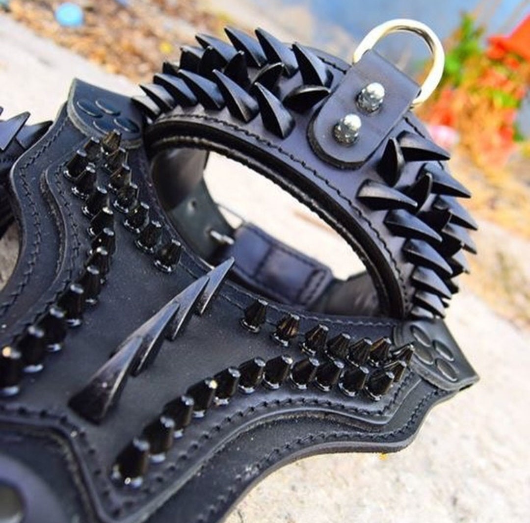 Hundegeschirr &amp; Leine und Kragen Set für Hunde Leder Etsy