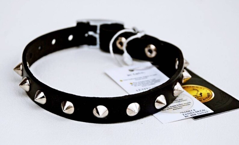 Puppy Collar Dog Collar for Small Dogs Custom Dog Collar Leather Studded Dog Collars Girl and Boy dog collars Brown /& Black
