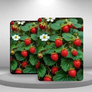 Custodia estetica per Kindle Botanical Fruit per Kindle Paperwhite 12/11, Kindle 11 2024/22, Kindle Scribe/Oasis/Colorsoft, custodia con cinturino da polso