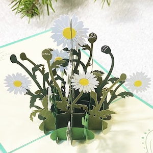 Chrysantheme, Pop Up Karte, Geburtstagskarte, Kindergeburtskarte, Frauen-Jubiläumskarte, Grußkarte, Weihnachtskarte