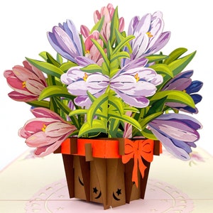 Saffron basket, Pop Up Card, Birthday Card, Mother's Day Card, Child Birthday Card, Woman Birthday Card, Christmas Card