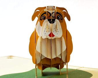Le Bulldog, carte pop up, carte anniversaire 3d, carte anniversaire enfant, carte de voeux pop up