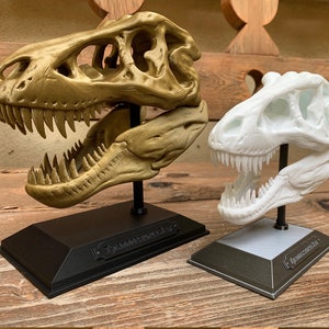 3D Printed T-Rex Skull with Display Stand image 1