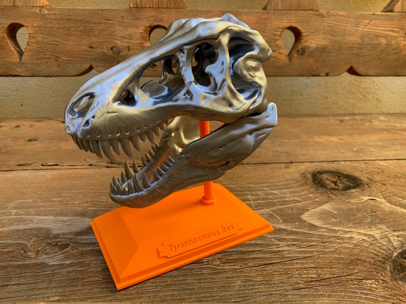 3D Printed T-Rex Skull with Display Stand image 2
