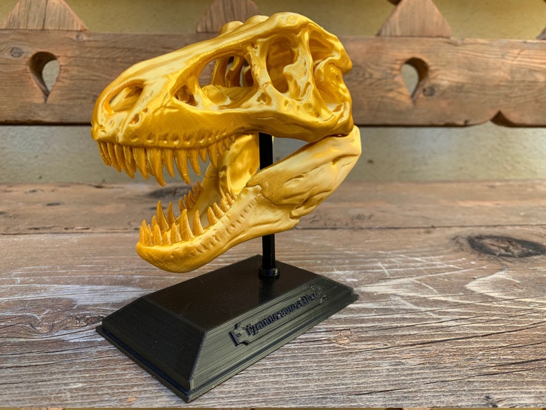 3D Printed T-Rex Skull with Display Stand image 5