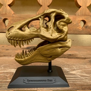 3D Printed T-Rex Skull with Display Stand image 4