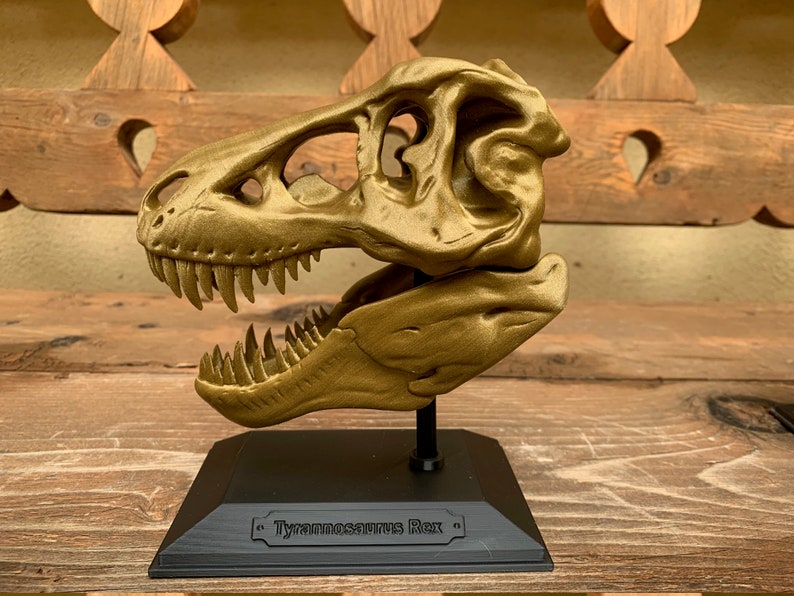 3D Printed T-Rex Skull with Display Stand image 4