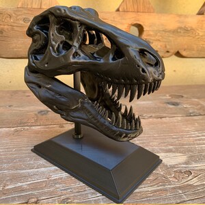 3D Printed T-Rex Skull with Display Stand image 3