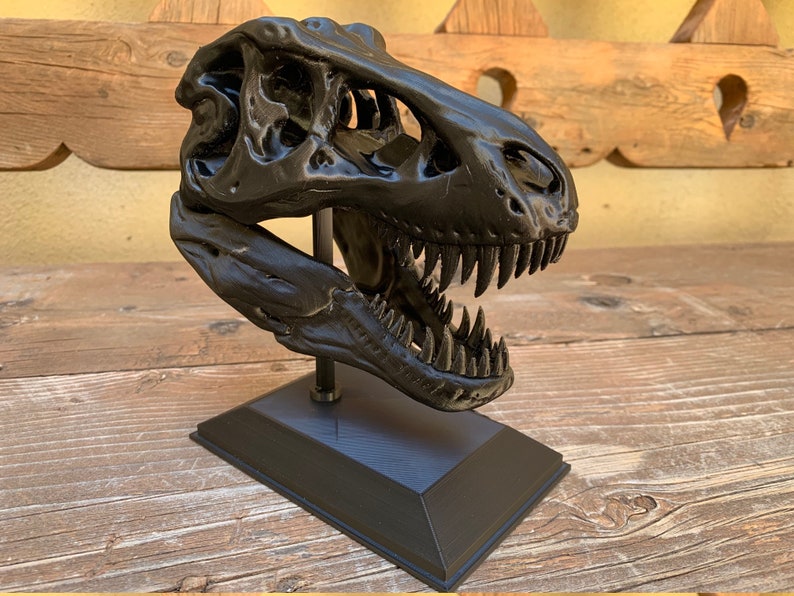 3D Printed T-Rex Skull with Display Stand image 3